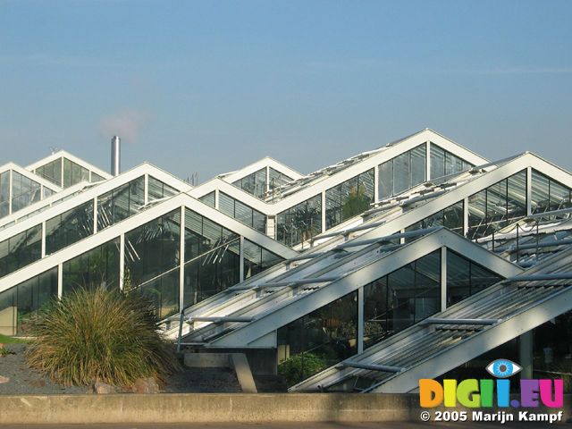 15406 Roof of princess of Wales conservatory